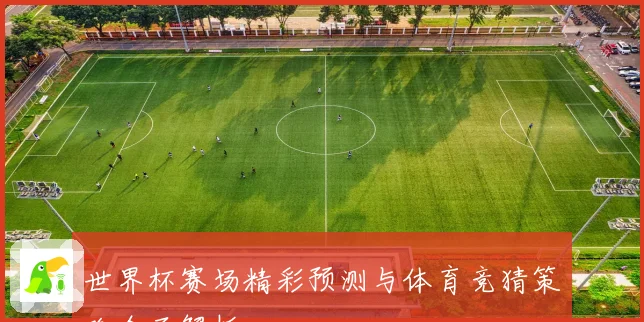 世界杯赛场精彩预测与体育竞猜策略全面解析