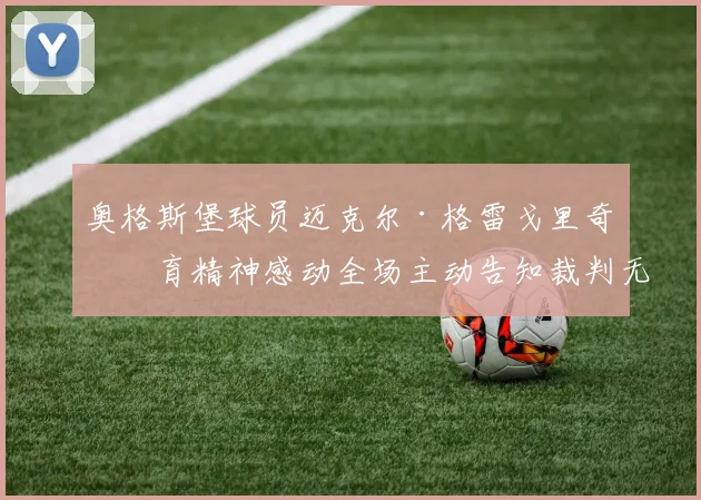 奥格斯堡球员迈克尔·格雷戈里奇体育精神感动全场主动告知裁判无犯规