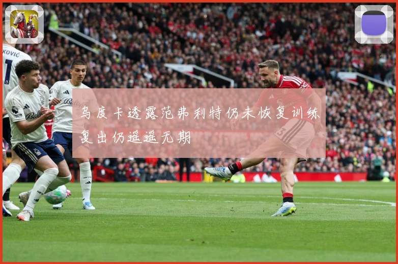 乌度卡透露范弗利特仍未恢复训练复出仍遥遥无期