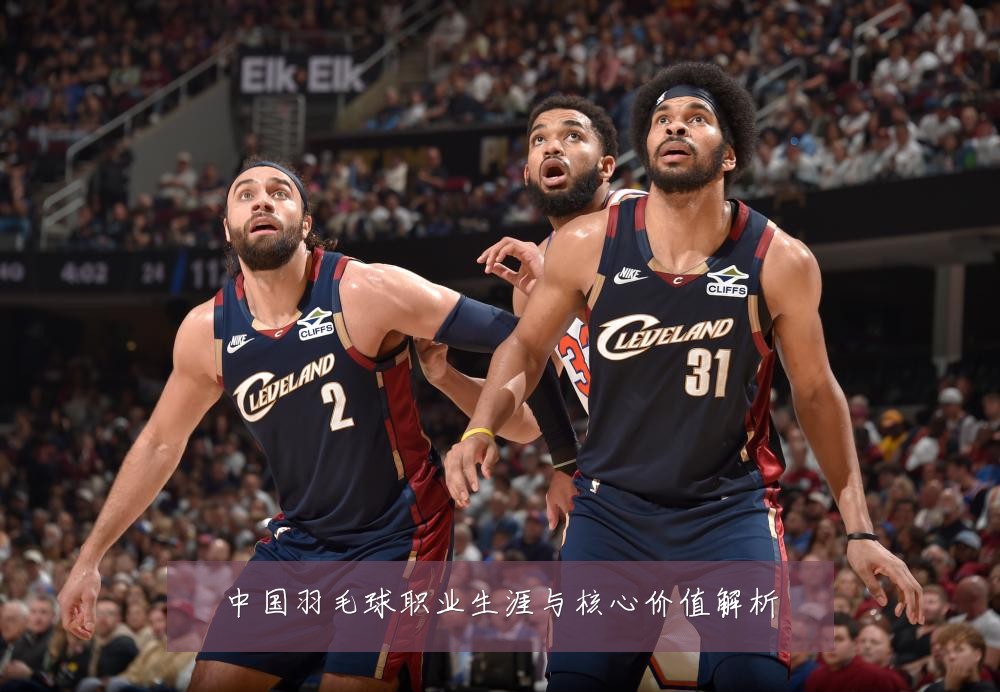 中国羽毛球职业生涯与核心价值解析