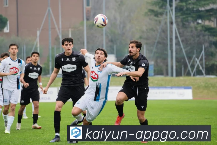 开云娱乐全方位沉浸式体验感受与使用心得分享